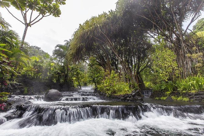 Day Trip From San Jose to Tabacon Hot Springs Resort & Spa - Tour Details and Inclusions