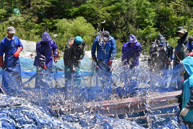 Day Trip to Beautiful Korean Marine National Park, Hallyeohaesang - Itinerary Highlights
