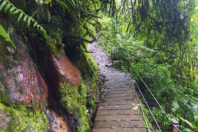 Day Trip to La Chorrera Park—Hiking Experience to Highest Waterfall in Colombia - Inclusions and Exclusions
