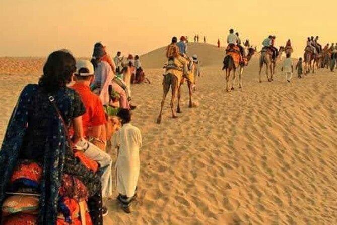 Desert Camel & Jeep Safari Private Tour From Jodhpur - Itinerary Highlights