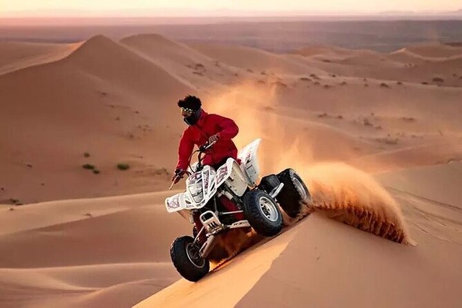 Desert Safari Adventure Dune Bashing,Camel,ATV Opt,8 Shows&Dinner - Food and Dining Experience