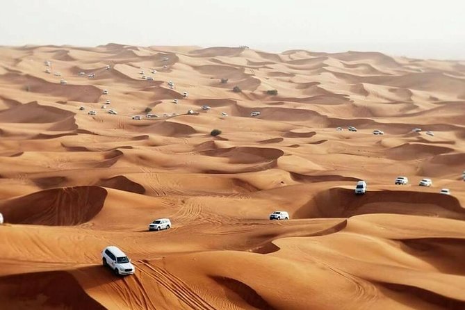 Desert Safari Dubai - Tour Details