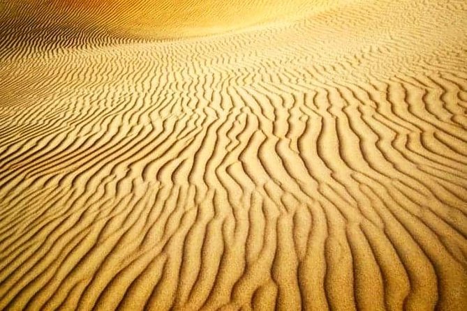 Desert Safari Red Dunes With Camel Ride, Sandboard, BBQ and Shows - Activities Included