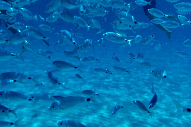 Devils Saddle Tour: 3 Snorkeling Stops/Soft Drinks/Actioncam - Snorkeling and Swimming Opportunities