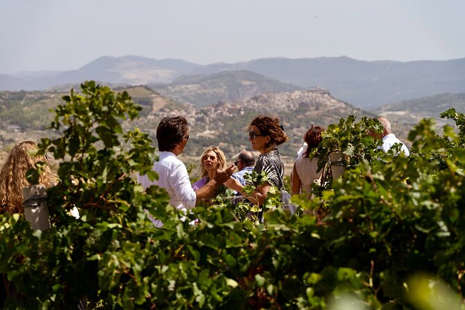 Di Giovanna Winery Tour & 3 Wine Tasting - Tasting and Menu