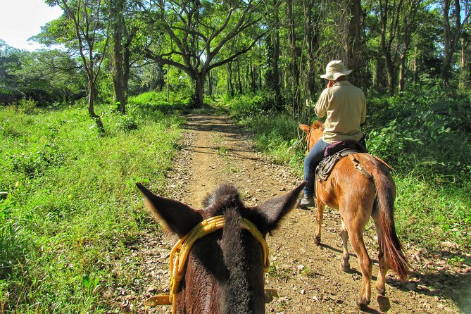 Discover a Nature Reserve on Horseback - Highlights of the Nature Reserve