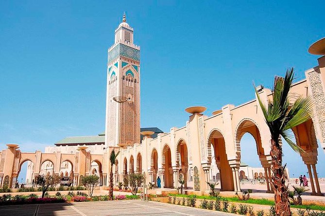 Discover Casablanca City and Skip the Line to Hassan II Mosque - Navigating the Citys Bustling Medina