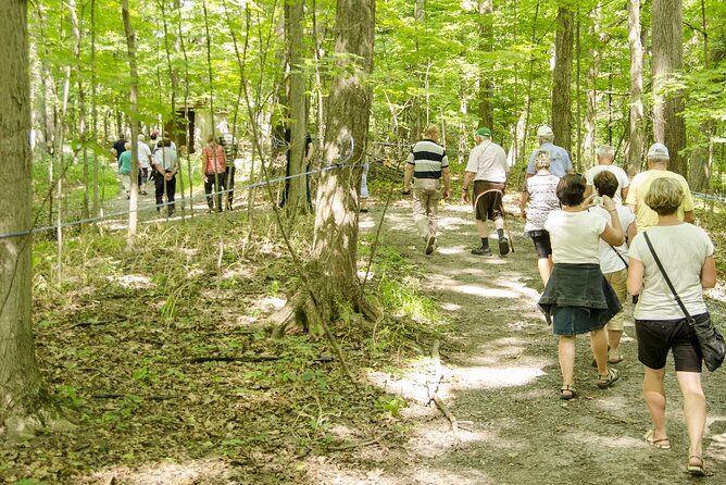 Discover Maple Sugar Bush Tour - Whats Included