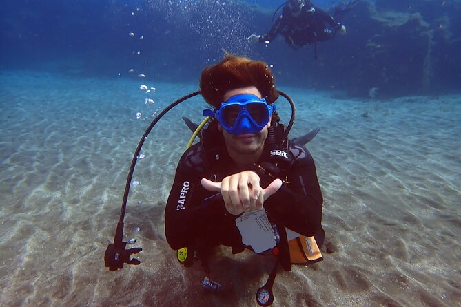 Discover PADI Scuba Diving in the Area of Tortugas in Playa De Abades - Meeting and Transportation