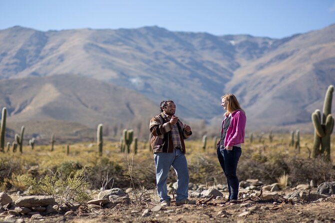 Discover Tafí Del Valle and Quilmes Ruins in a Day Tour - Itinerary Highlights