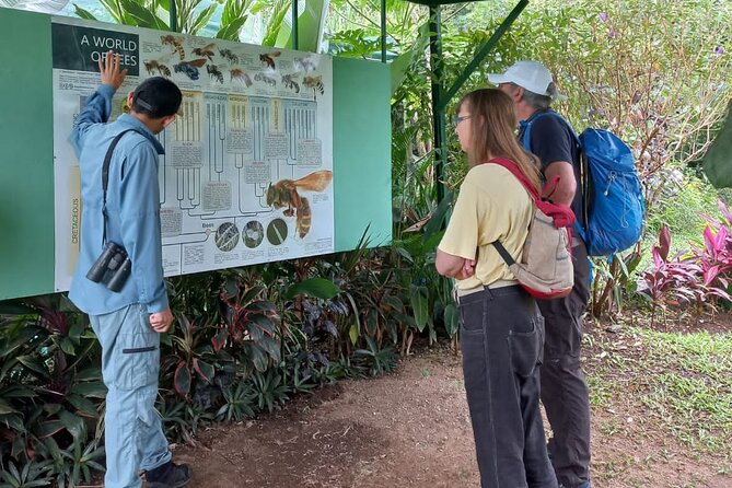 Discover the Costa Rican Essence Coffee, Chocolate and Honey - Hands-on Explorations
