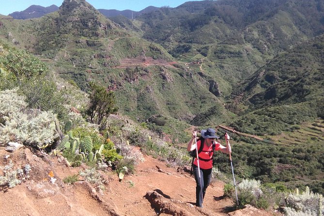 Discover the Lost Paradise of Anaga in Tenerife - Trekking Through the Rural Park
