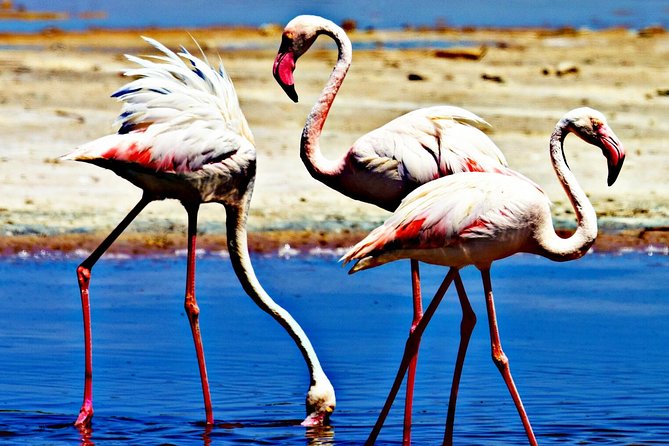 Discovering Cagliari - Key Attractions