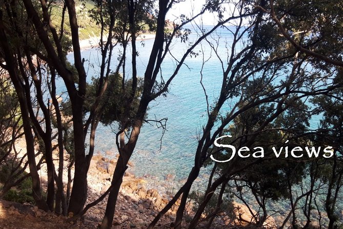 Discovering the Land of the Centenaries and Swimming in the Natural Pools - Taking in Natural Pools