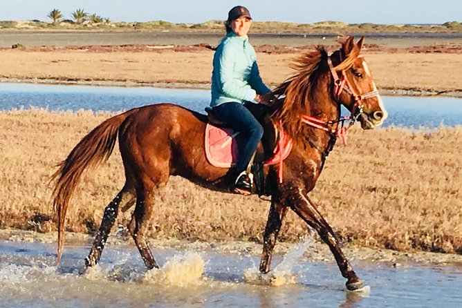 Discovery Ride on Horseback or Camel 2h30 - Meeting and Pickup Information