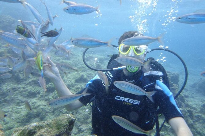 Diving At Galleon and Chimney Review - Inclusions and Amenities