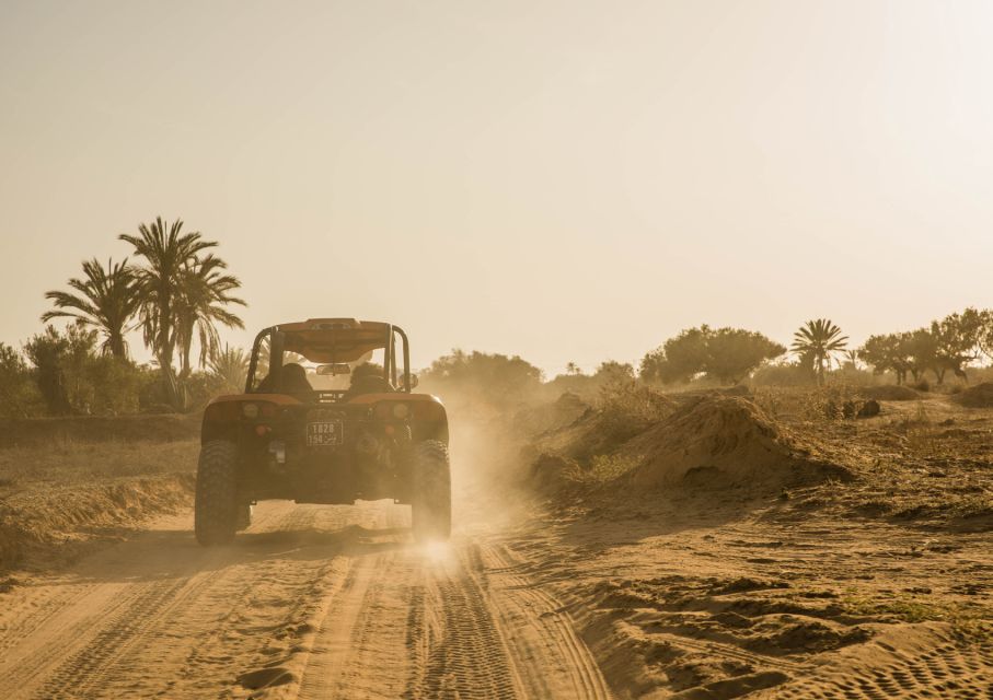 Djerba 1H30 Buggy Adventure: Unleash the Fun - Scenic Djerba Landscapes