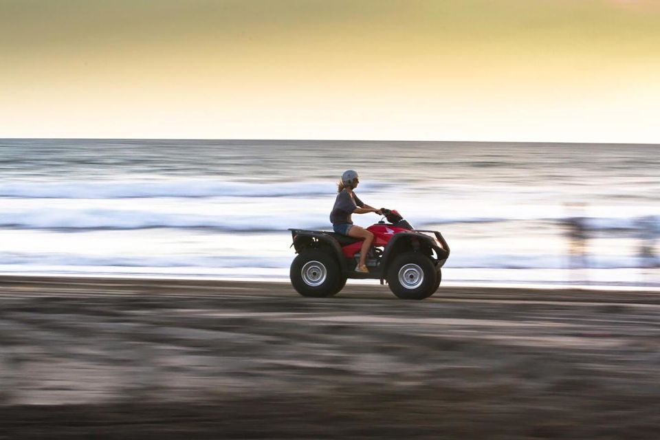 Djerba Island: Quad Biking Excursion - Tour Guide and Group Size