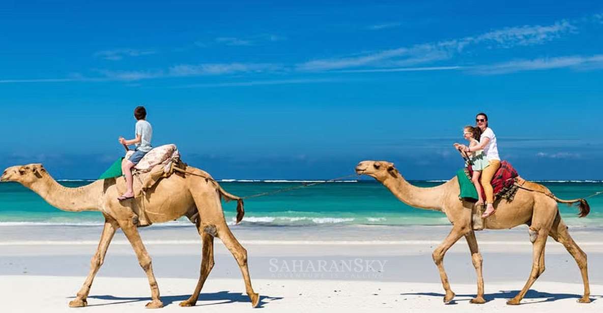 Djerba: Lagoon Camel Ride Experience - Booking and Availability