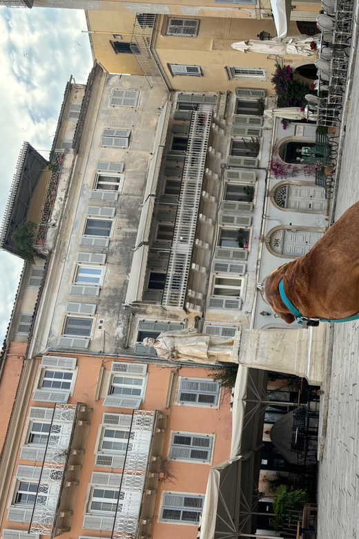 Dog City Tour or Enjoy the City With 4 Paws Guide - Experience Highlights