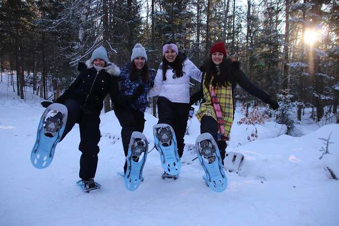 Dog Sledding Adventure From Toronto Private Tour - Inclusions