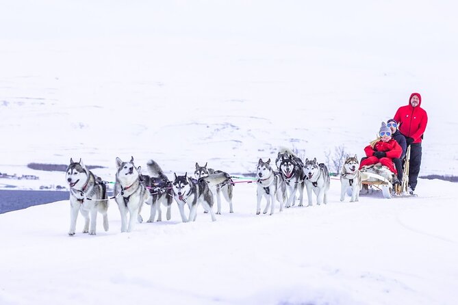 Dogsledding, Near Akureyri - Tour Details