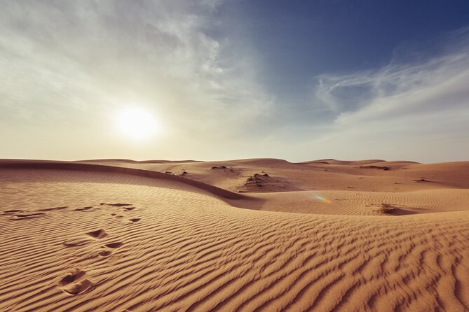Doha Private Half-Day Guided Desert Safari Tour - Itinerary and Activities
