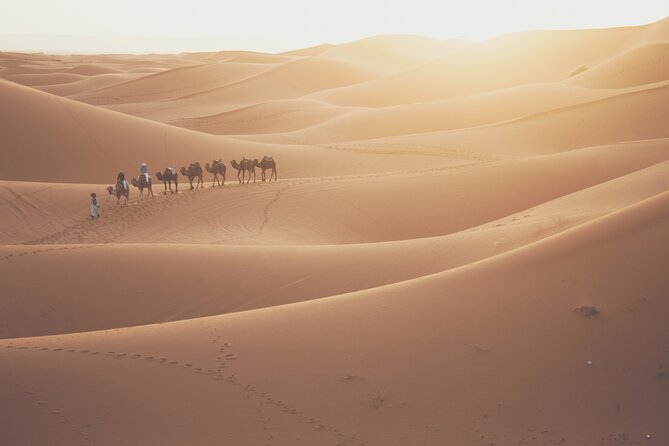 Doha Sunrise Desert Safari Tour| Dune Bashing| Inland Sea Visit| Camel Riding - Dune Bashing Experience