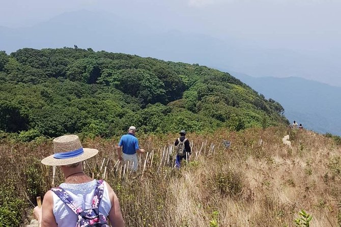 Doi Inthanon National Park Day Trip - Tour Features and Inclusions