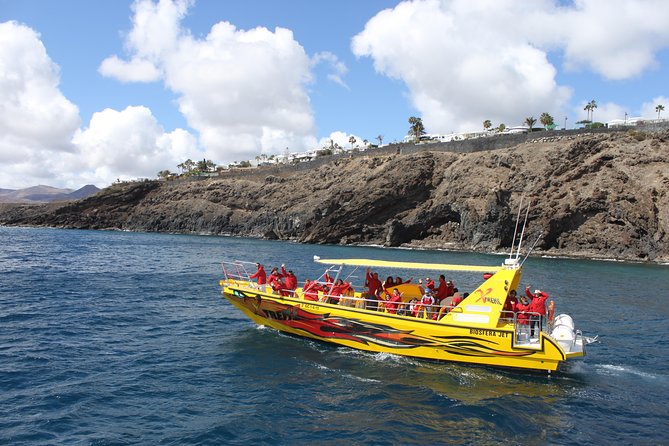 Dolphin Mini Cruise at Playa Del Carmen - Customer Ratings and Feedback