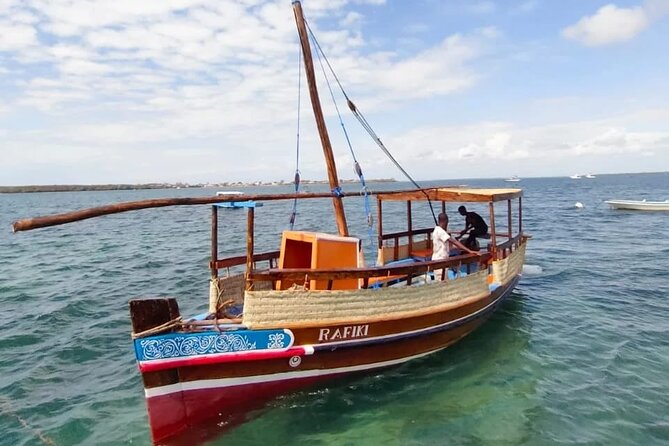 Dolphin Tour and Snorkeling in Kisite Marine Park / Wasini Island - Inclusions and Transportation