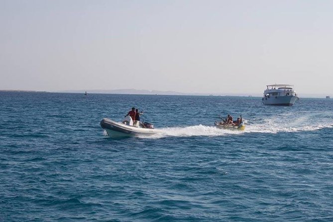 Dolphin Tour in Hurghada - Tour Highlights