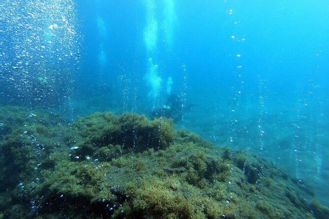 Double Scuba Diving - Certification and Fitness Requirements