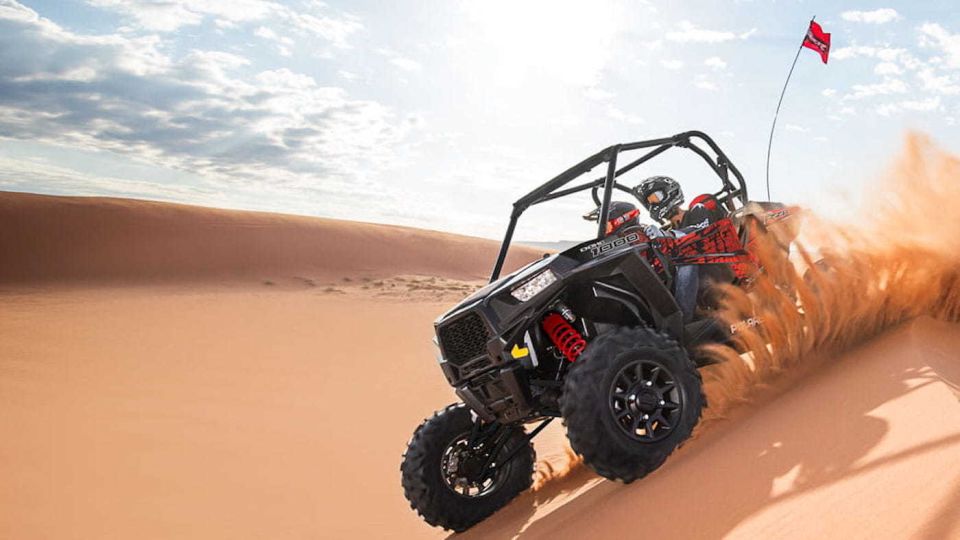 Douz: Half-Day Sahara Desert Buggy Adventure - Experience Details