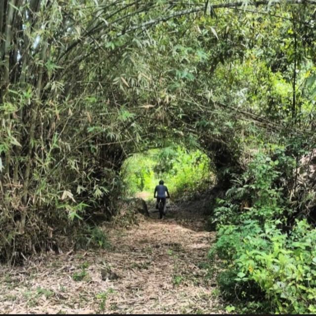 Downhill Mountain Biking in Kitulgala - Location and Accessibility