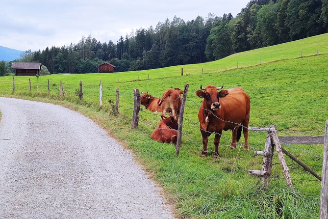 Dragon Slayer Way Beer Hike Food Experience Private Tour (departs Munich) - Guided Hike and Scenery