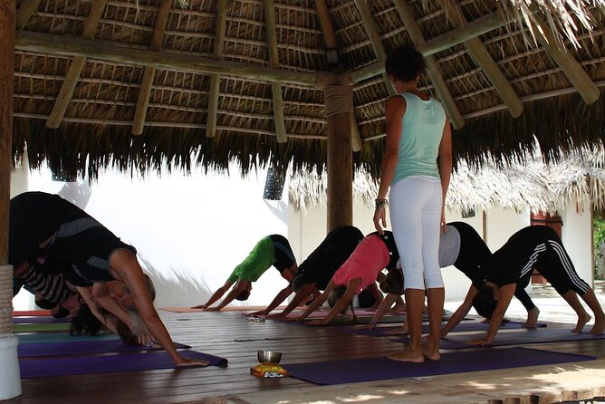 Drop-In Group Yoga Class - Punta Cana - Meeting Location