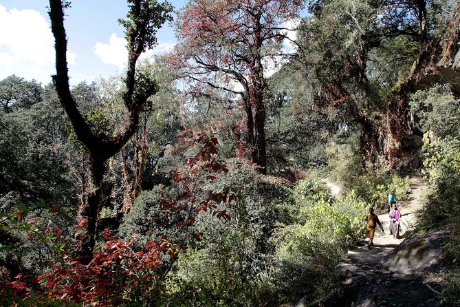 Druk Path Trek: Discover The Raw Natural Beauty of Bhutan - Itinerary and Daily Schedule
