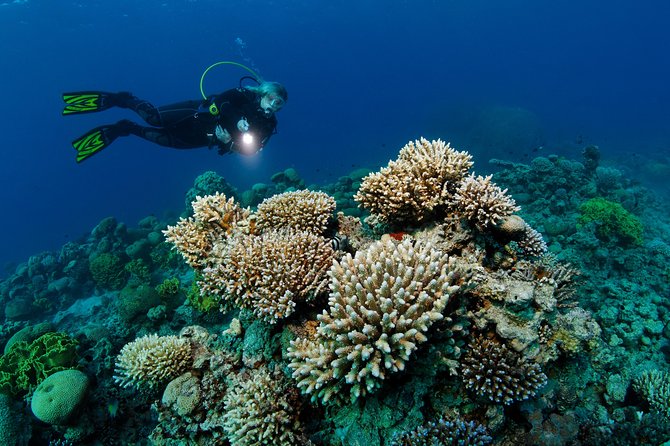 DSD Discover Scuba Diving (Min Age 10 Years) - Inclusions