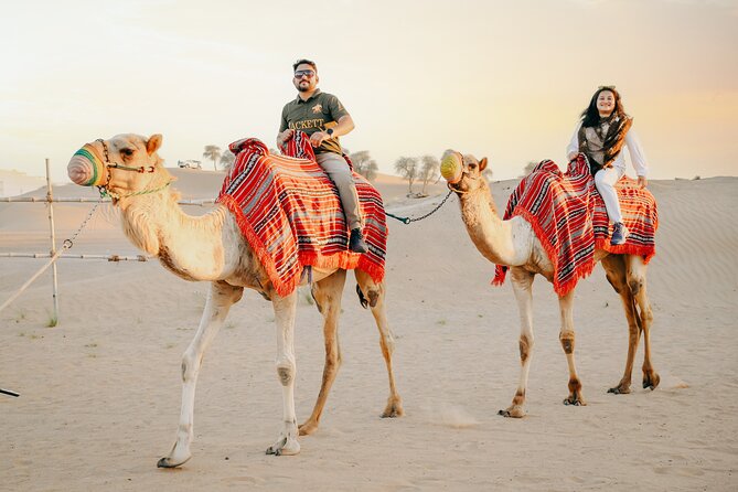 Dubai Desert Safari Premium - ICL Lama Tourism - Activities and Entertainment Options