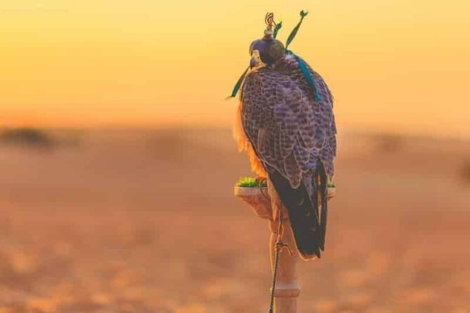 Dubai Hot Air Balloon Sunrise Sightseeing Ride - Tour Inclusions