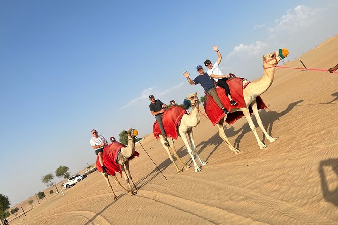 Dubai: Red Dunes Desert Safari, Camel Ride, Shows & BBQ Dinner - Convenient Pickup Details