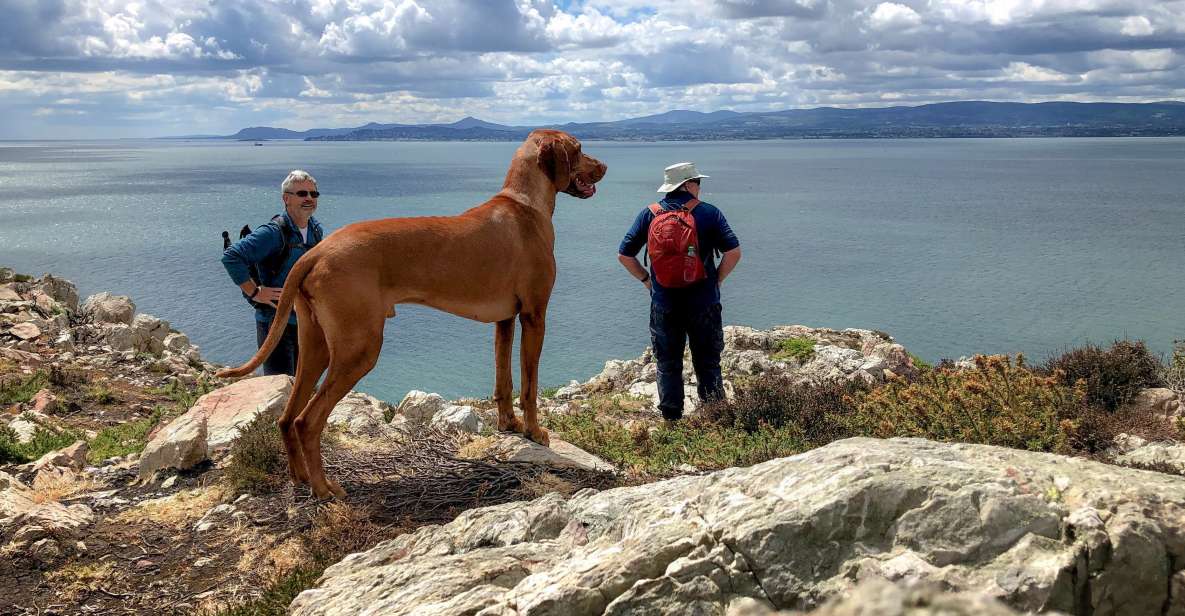 Dublin: Howth Coastal Hiking Tour - Experience Highlights