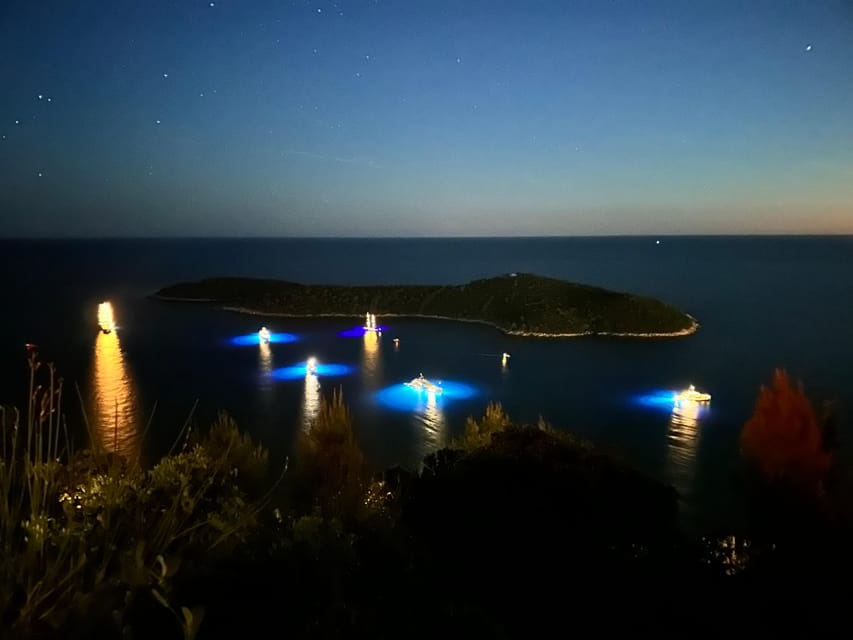 Dubrovnik Night Drive: Lights of the Adriatic - Experience Highlights