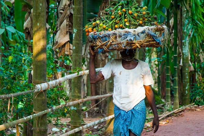 Dudhsagar Waterfall Wildlife & Spice Plantation Tour in Goa - Transportation and Pickup