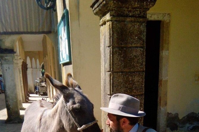 Durrells Story Half Day - Accessibility Features