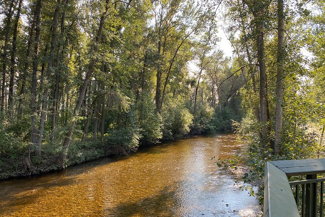 E-Bike Salmon Adventure - Rental Inclusions