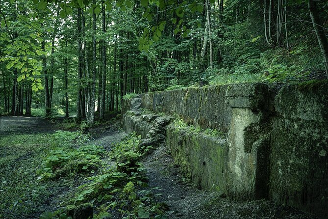 Eagles Nest-Berchtesgaden-Obersalzberg Private Half Day WWII Historical Tour - Pricing and Inclusions