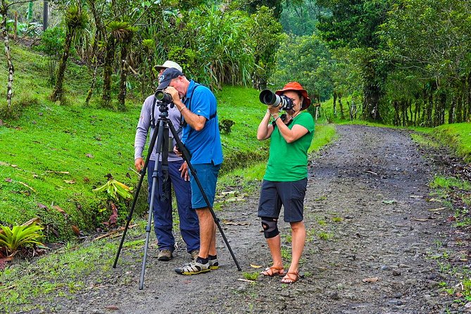 Early Bird Watching Tour - Guanacaste - Guided Tour Details