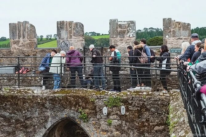 Easy Access Blarney Stone and Castle Gardens Tour - Itinerary Details
